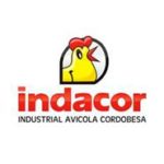 03_Indacor